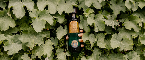 A GIN THAT STARTS WHERE NO OTHER GIN DOES